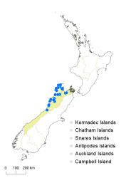Asplenium lepidotum distribution map based on databased records at AK, CHR, OTA & WELT.
 Image: K. Boardman © Landcare Research 2017 CC BY 3.0 NZ